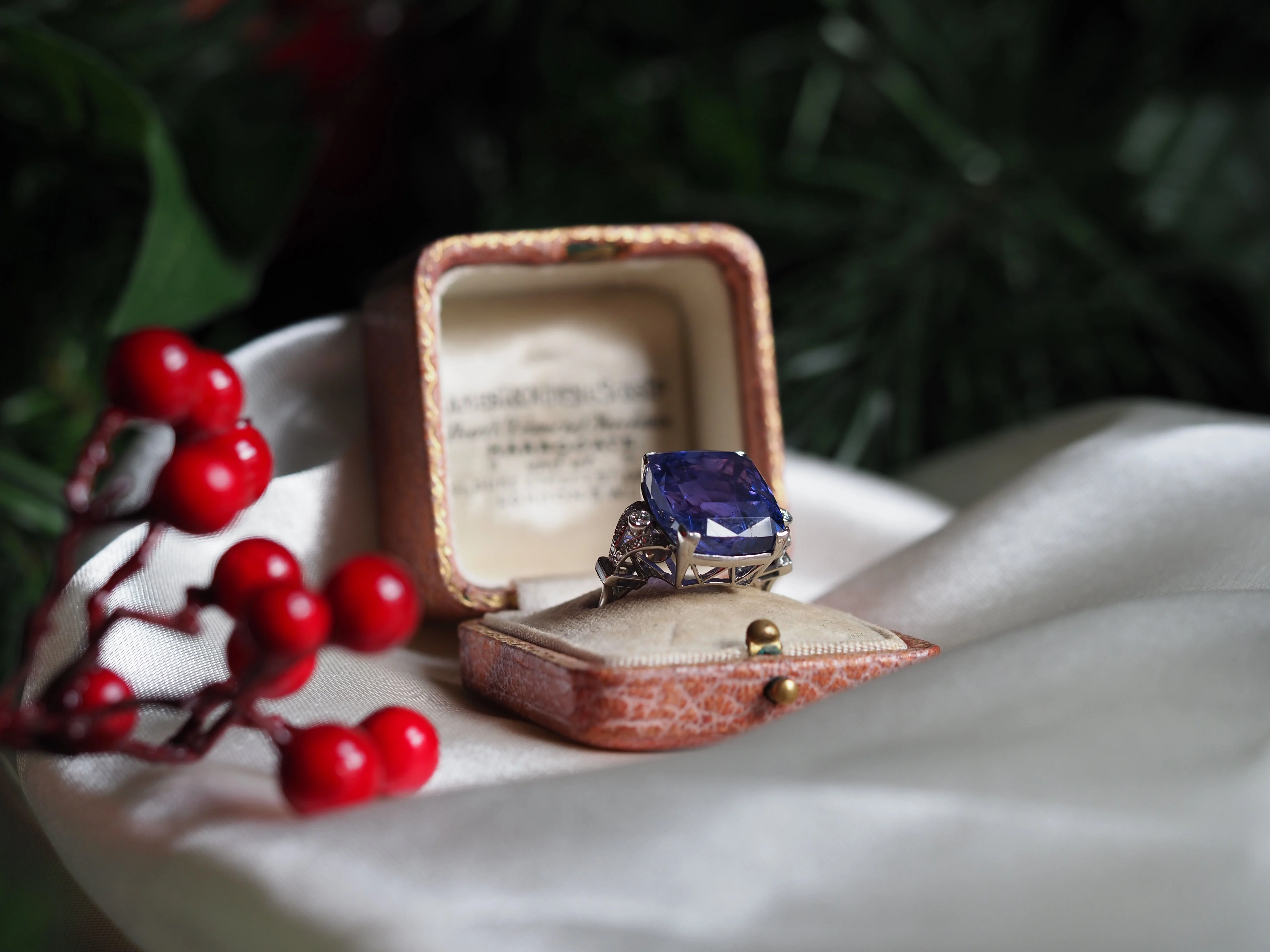 Timeless Elegance Since 1893
